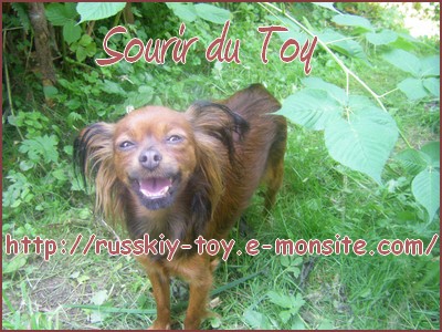 Sourir du Toy