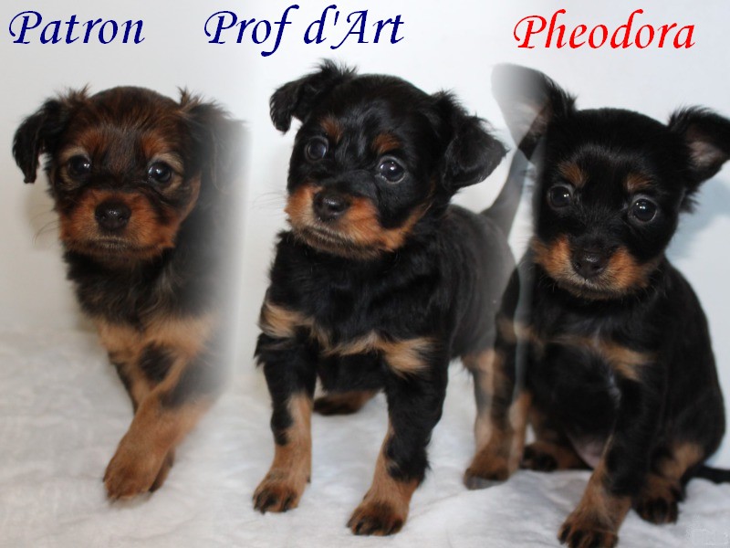 Pixiz 13 11 2019 20 43 33
